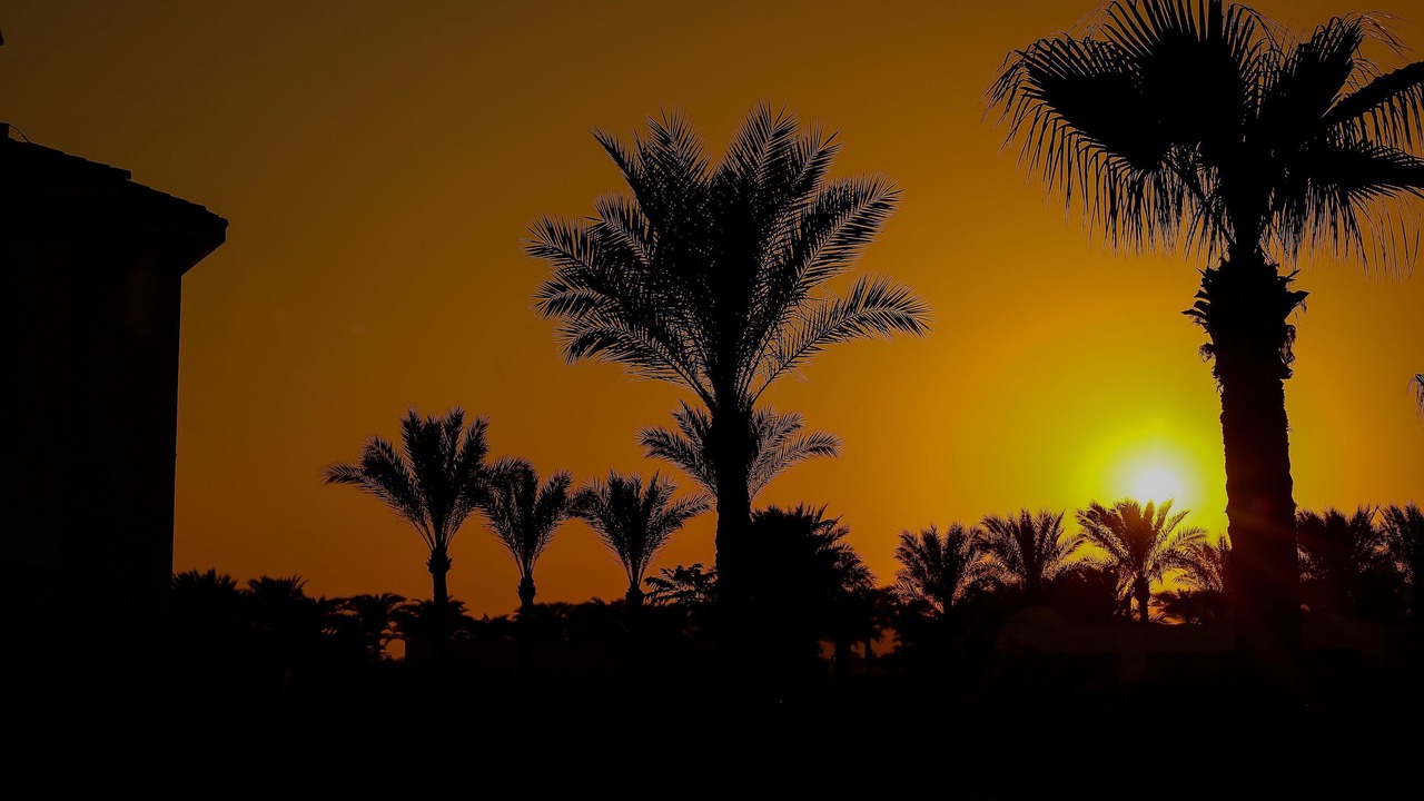 Photo of Others in El Hadaba