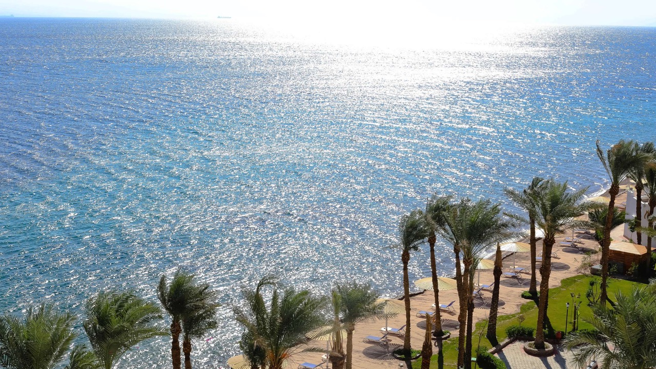 Photo of Others in Taba