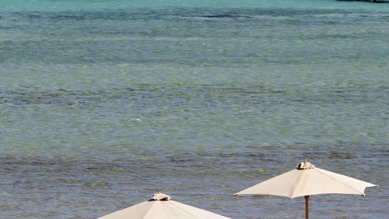 Photo of Others in Sharm El Sheikh