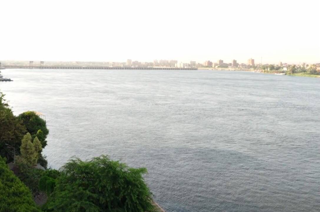 Photo of Others in Assiut