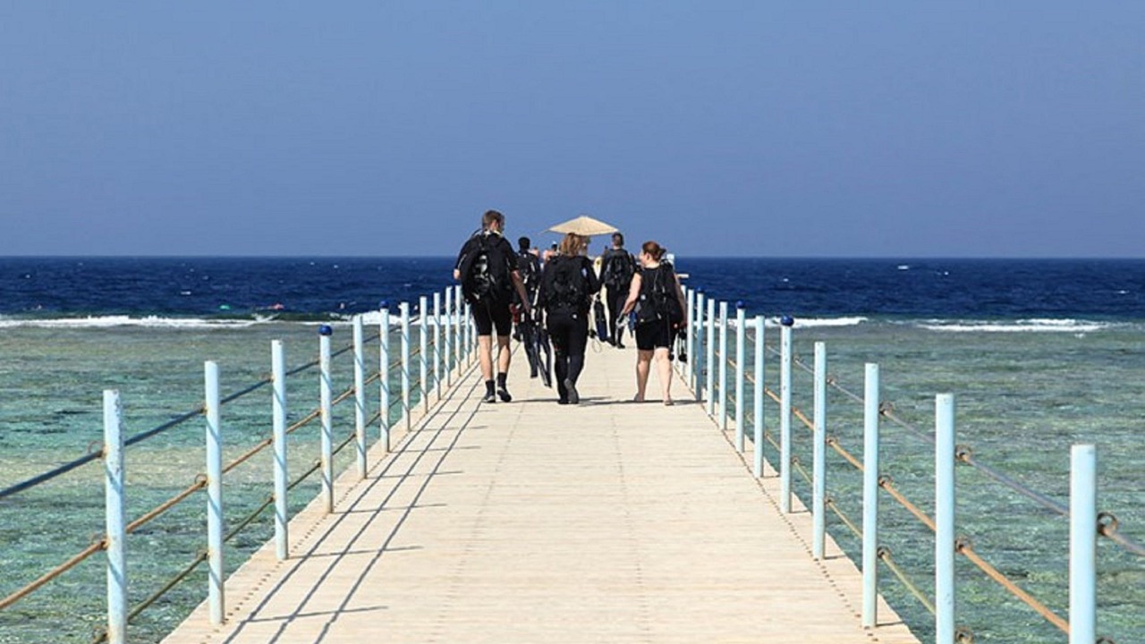 Photo of Others in Marsa Alam
