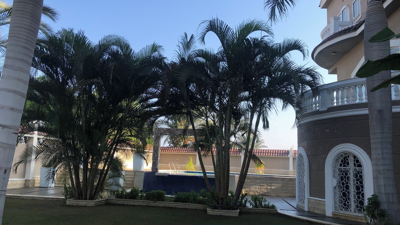 Photo of Patio Balcony in Mobarak City