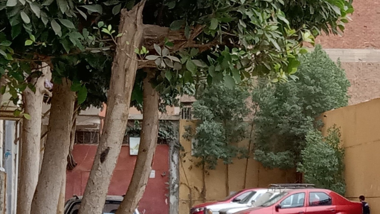 Photo of Outdoor in Al Haram