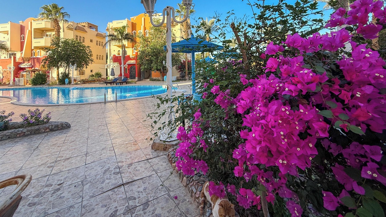 Photo of Outdoor in Al Mamsha El Seyahi
