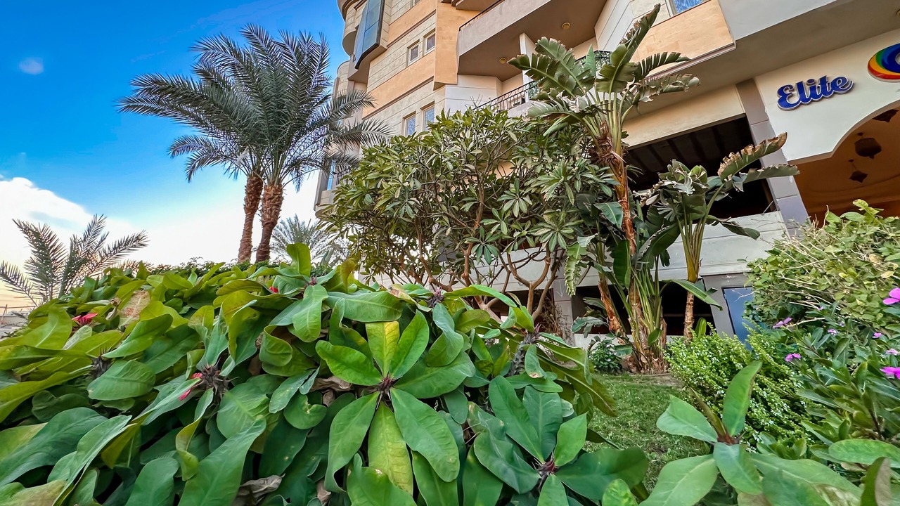 Photo of Outdoor in Al Mamsha El Seyahi