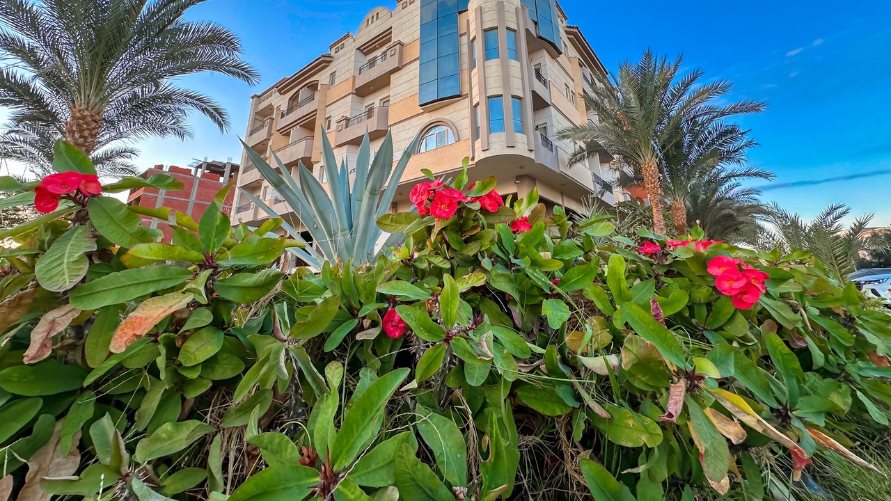 Photo of Outdoor in Al Mamsha El Seyahi