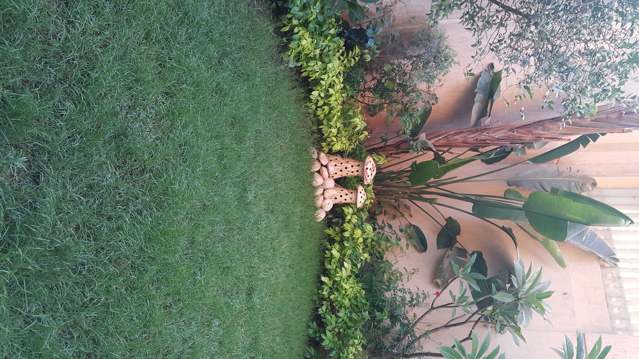 Photo of Outdoor in Az-Zaytun