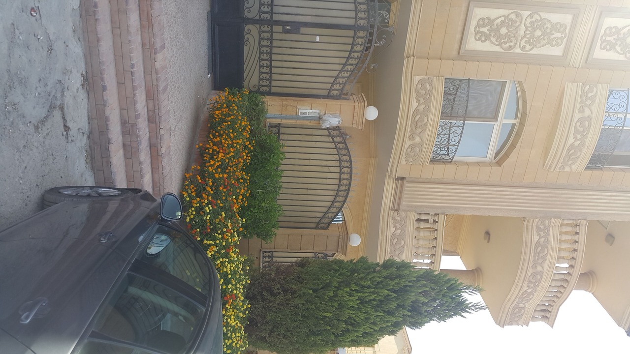 Photo of Outdoor in Az-Zaytun
