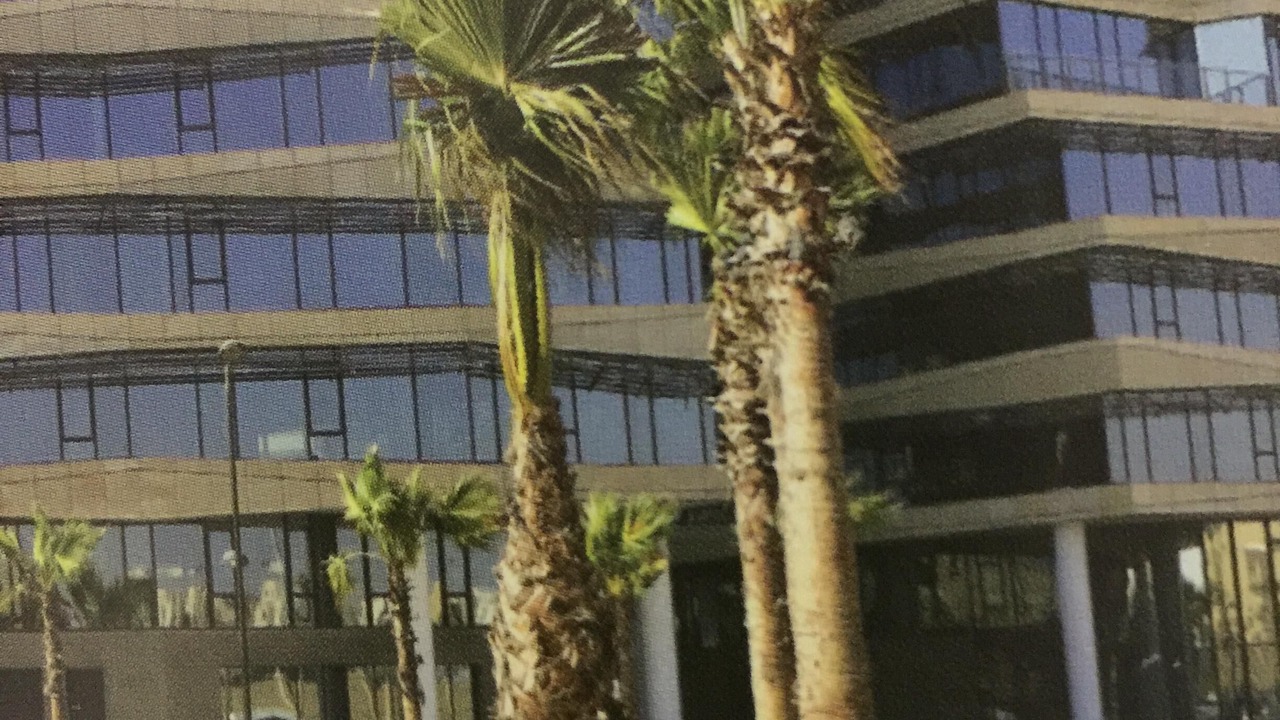 Photo of Outdoor in Sheikh Zayed City