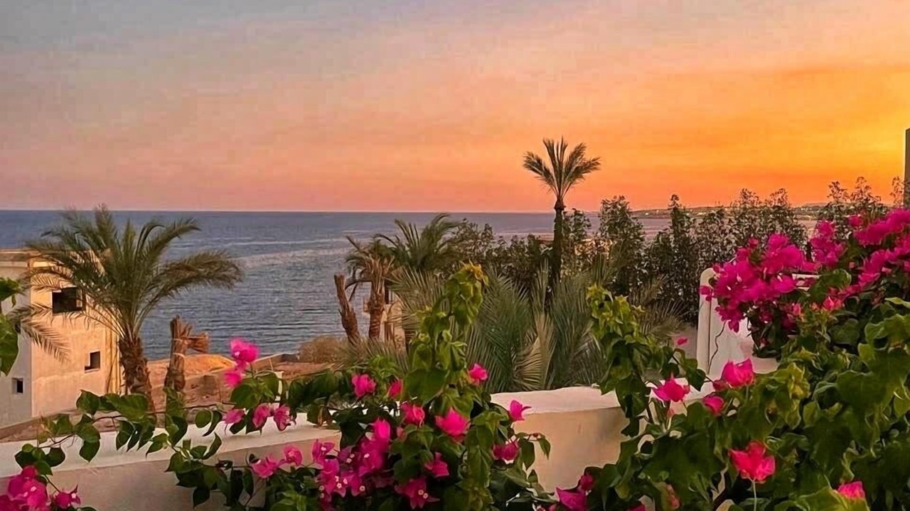 Photo of Outdoor in Sharm El Sheikh
