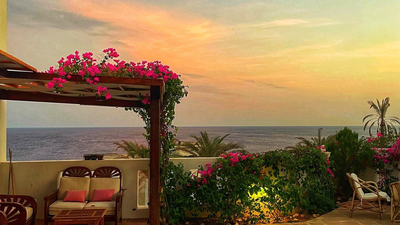 Photo of Outdoor in Sharm El Sheikh