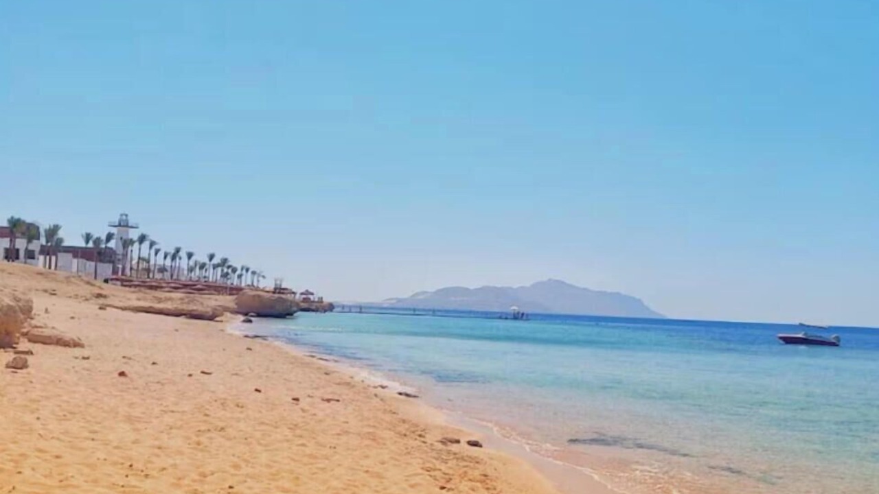 Photo of Others in Sharm El Sheikh