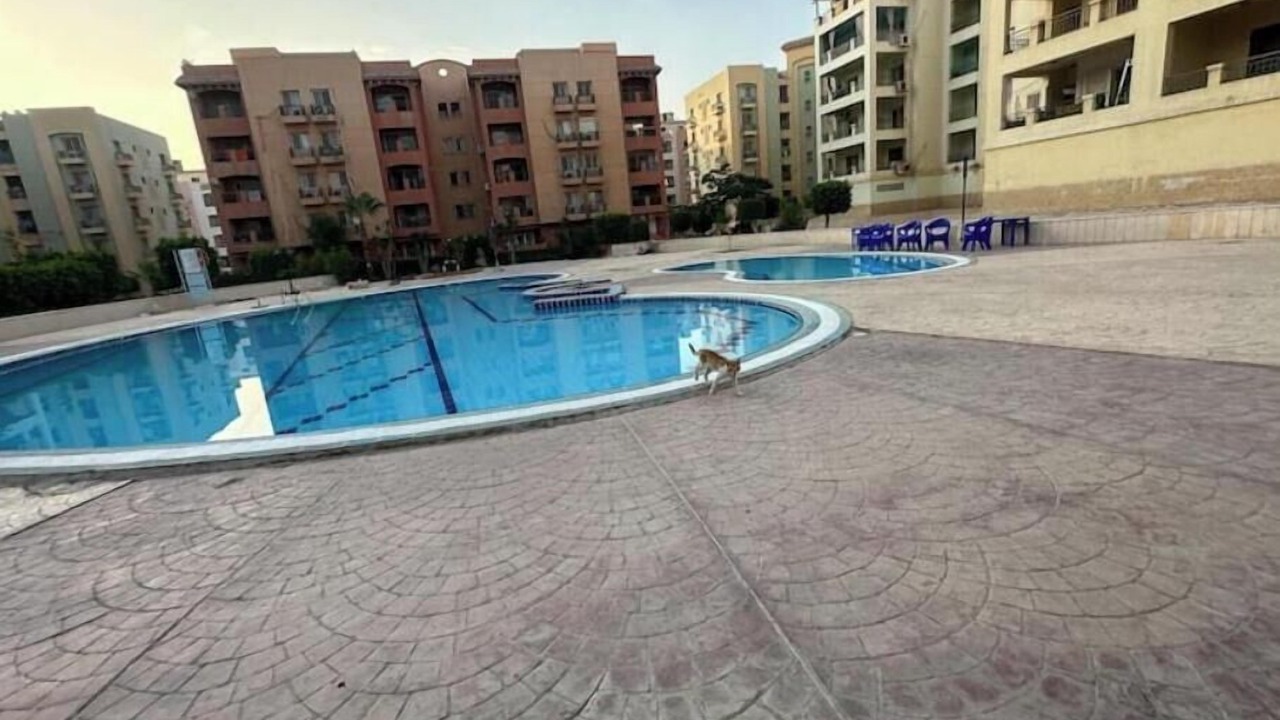 Photo of Outdoor in 6th of October City