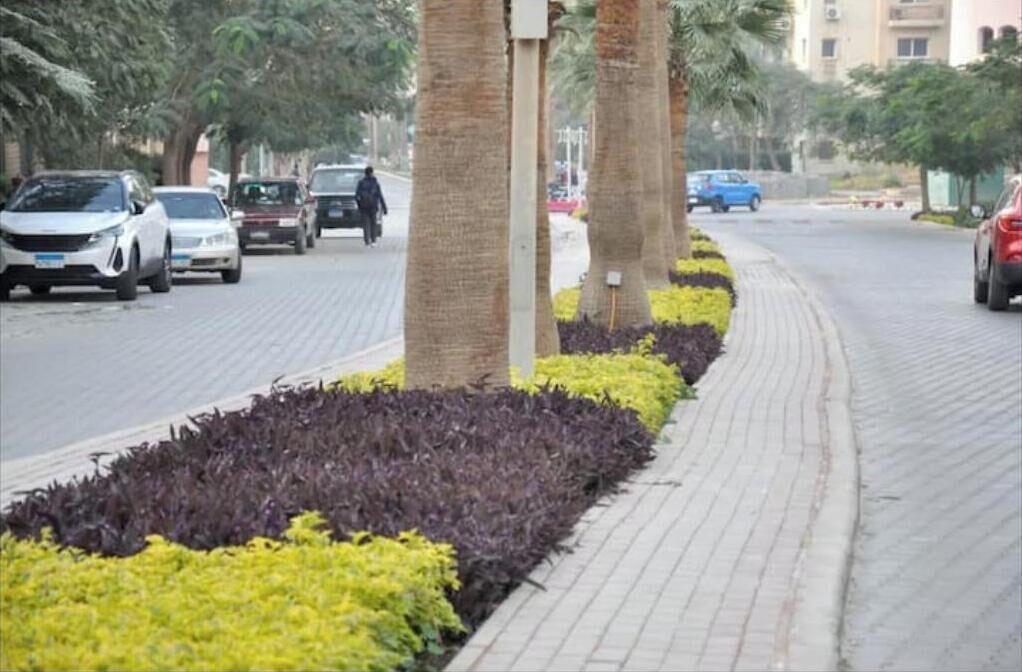 Photo of Others in 6th of October City