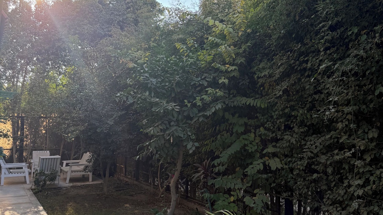 Photo of Outdoor in Madinaty