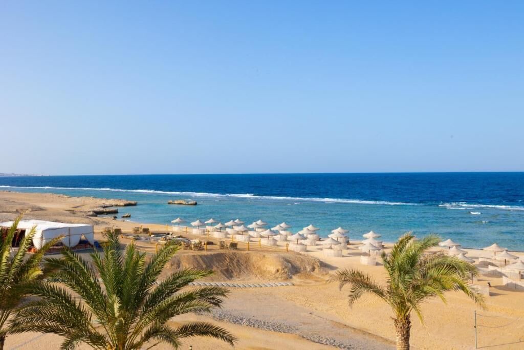 Photo of Others in Red Sea Coast