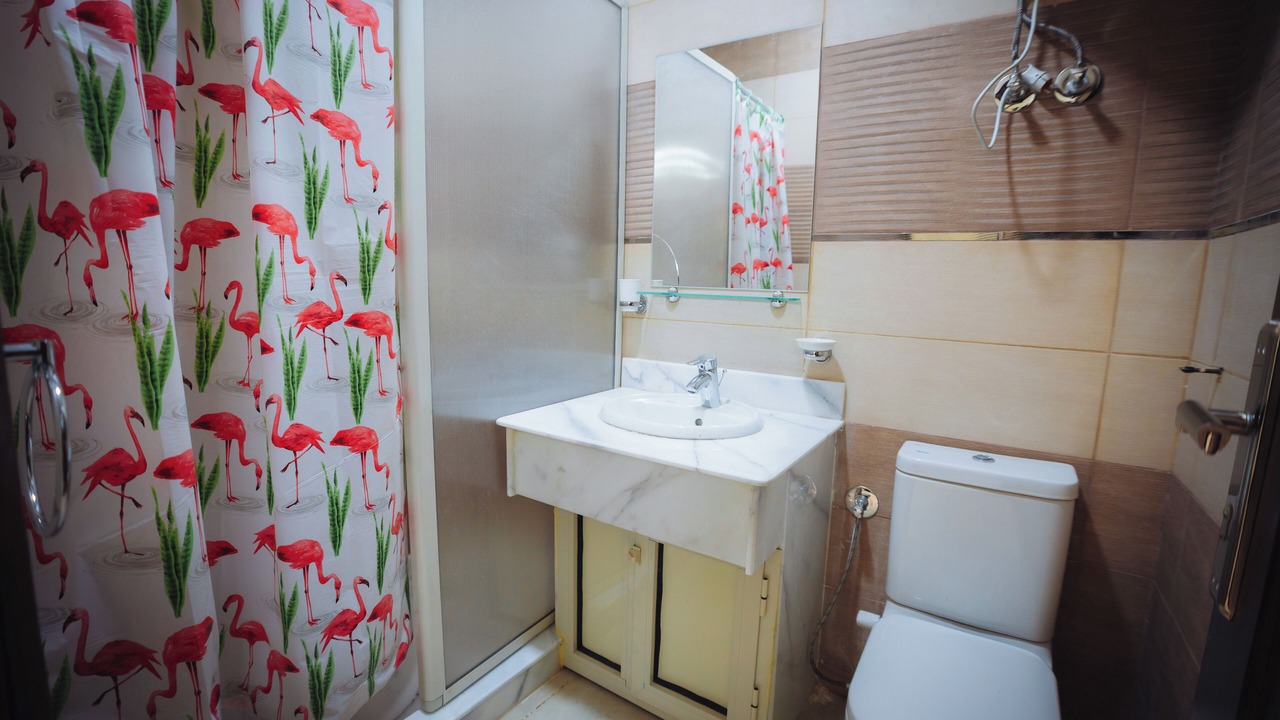 Photo of Bathroom in Luxor