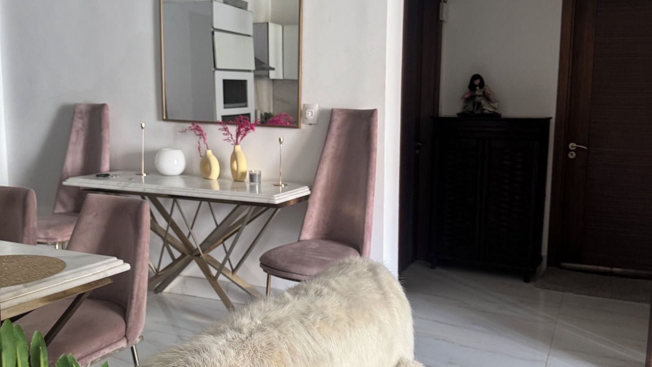 Photo of Livingroom in New Cairo