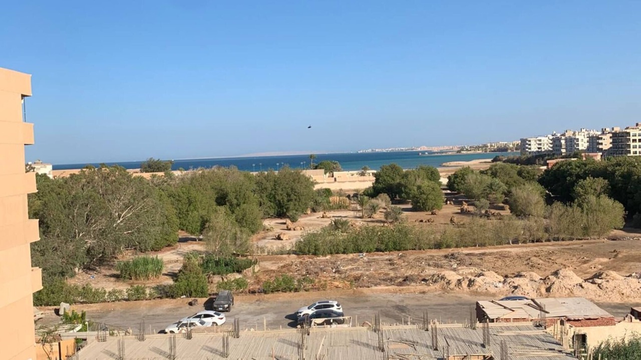 Photo of Others in Al Ahyaa