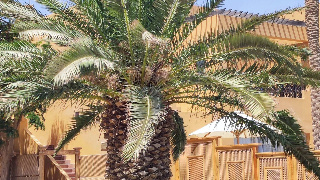 Photo of Outdoor in Makadi Bay