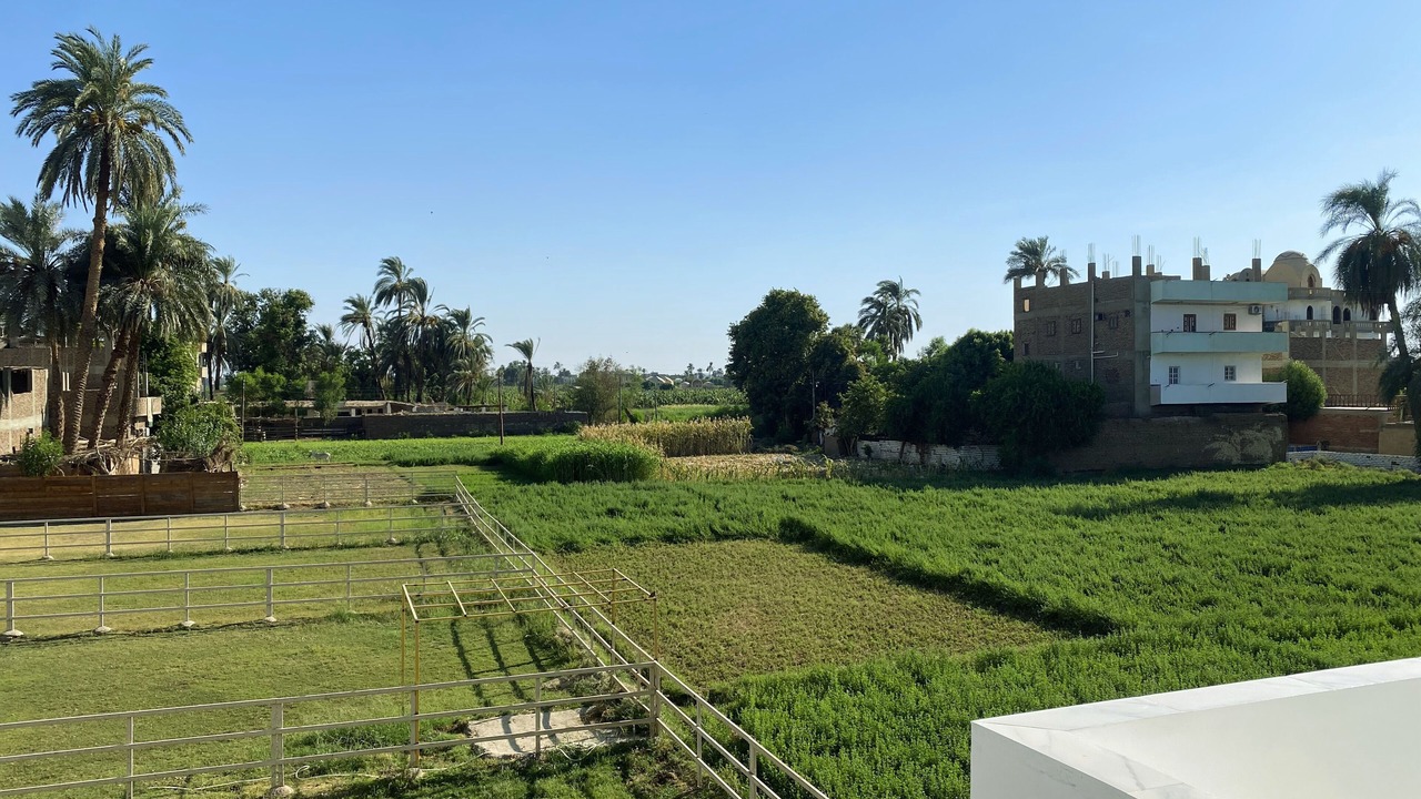 Photo of Others in Luxor