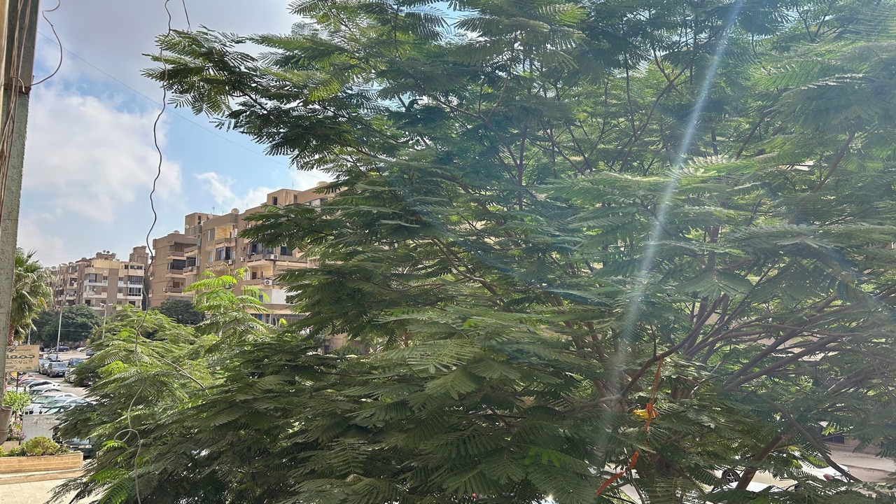 Photo of Outdoor in Nasr City