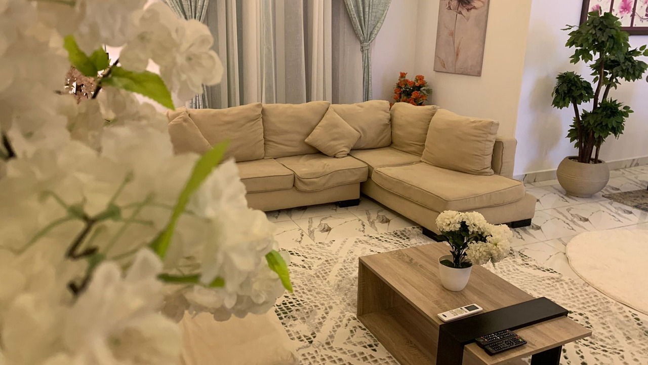 Photo of Livingroom in Nasr City