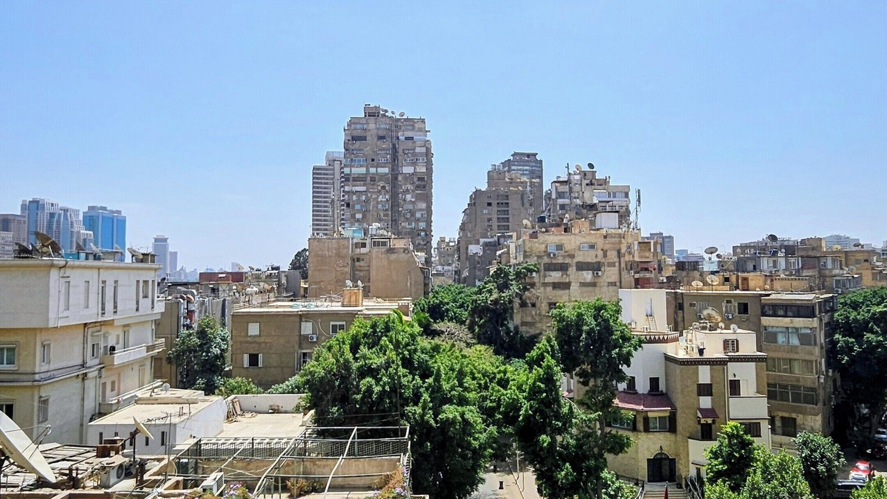 Photo of Others in Zamalek
