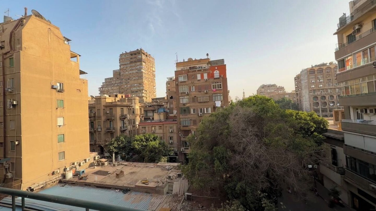 Photo of Others in Zamalek
