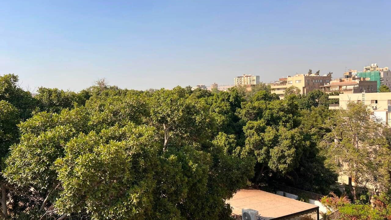 Photo of Others in Maadi