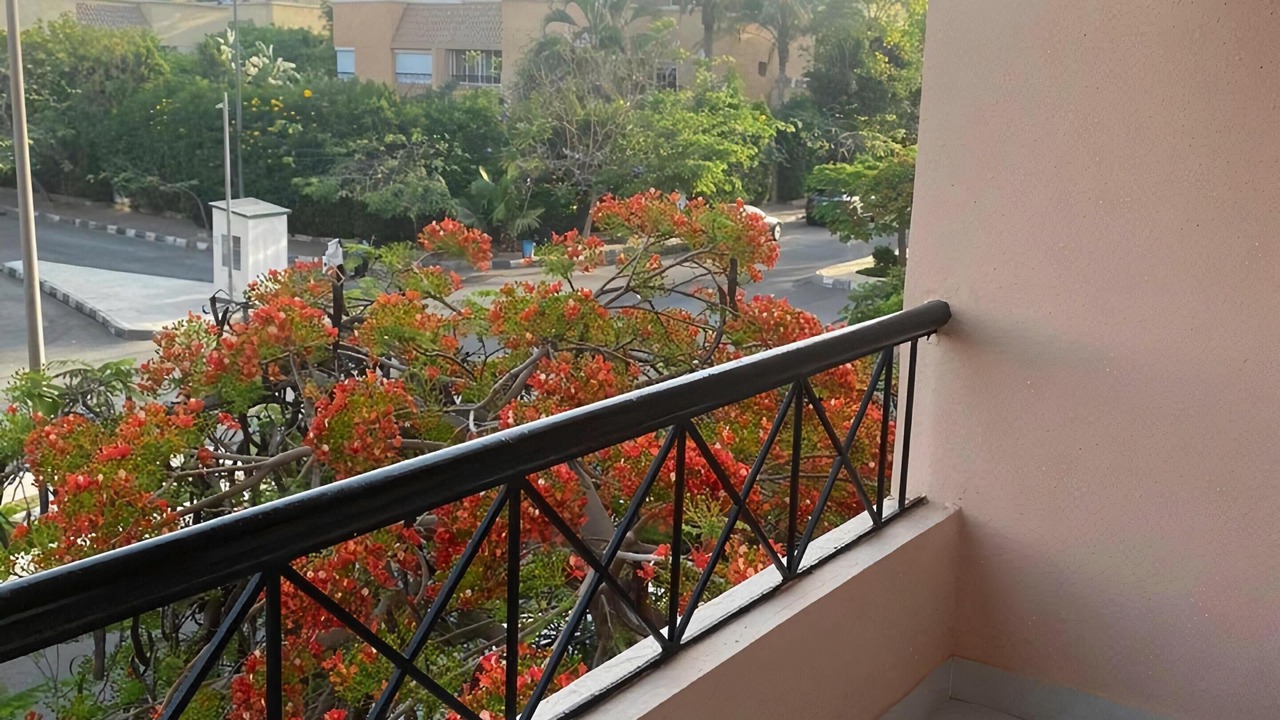 Photo of Outdoor in Al Rehab