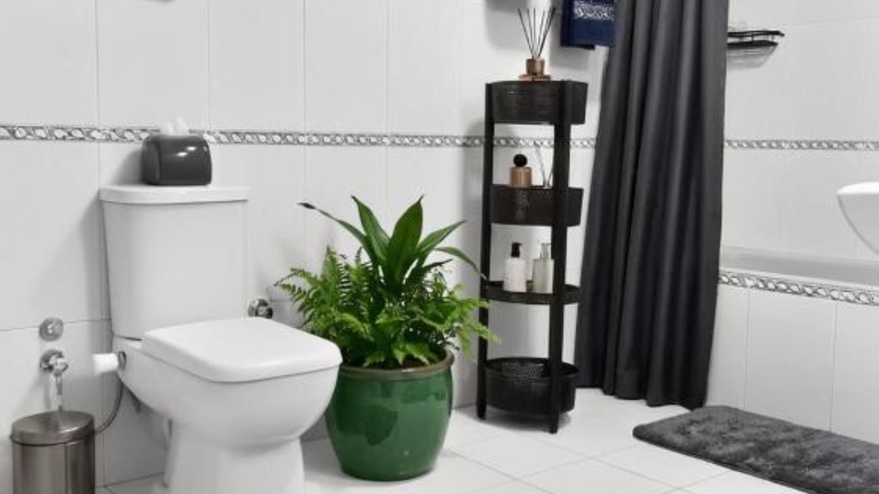 Photo of Bathroom in Heliopolis