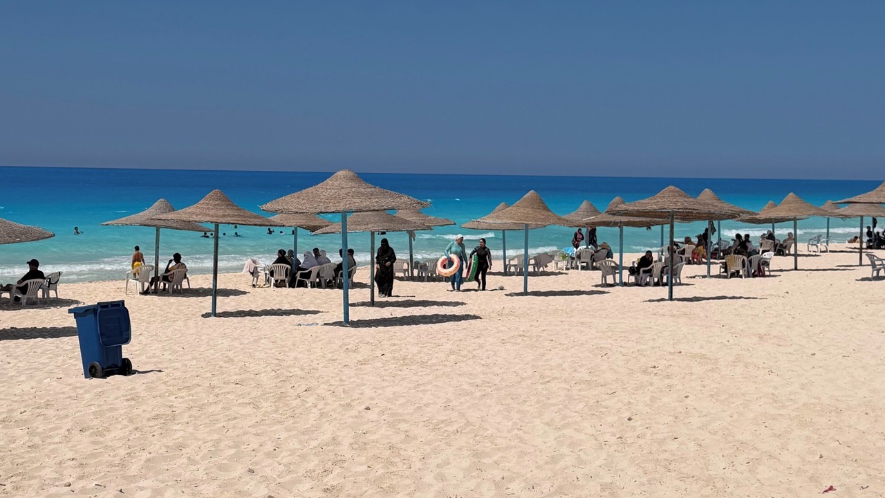 Photo of Others in Qetaa Maryout