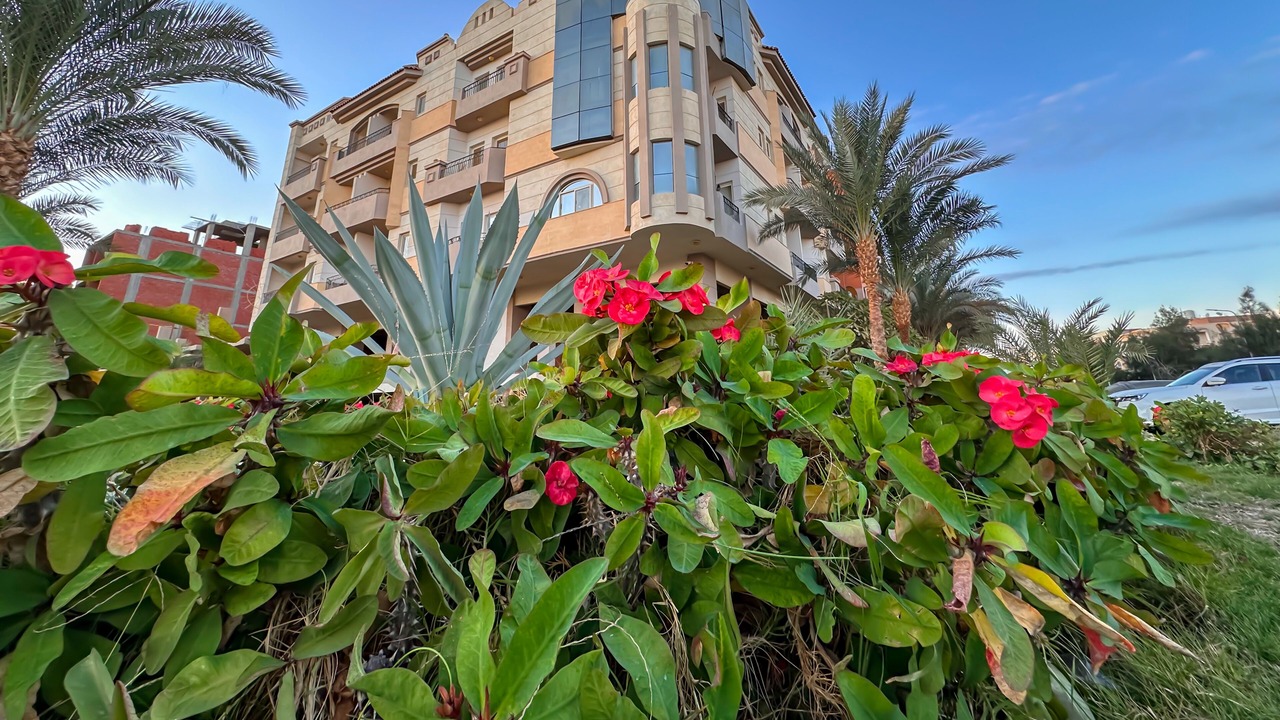 Photo of Outdoor in Al Mamsha El Seyahi