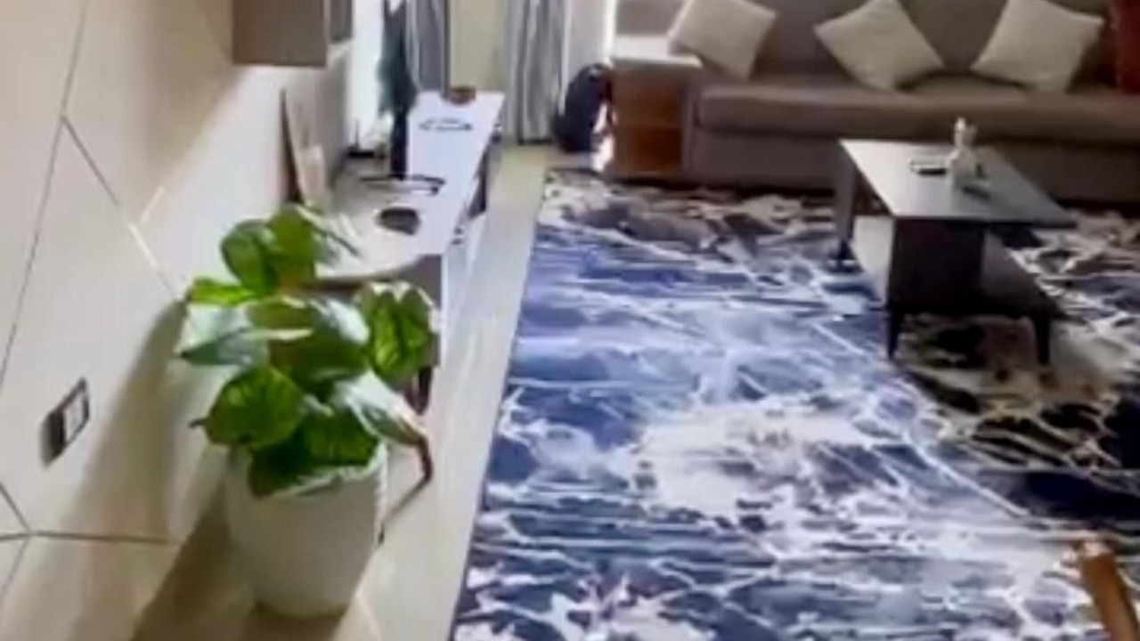 Photo of Livingroom in Madinaty