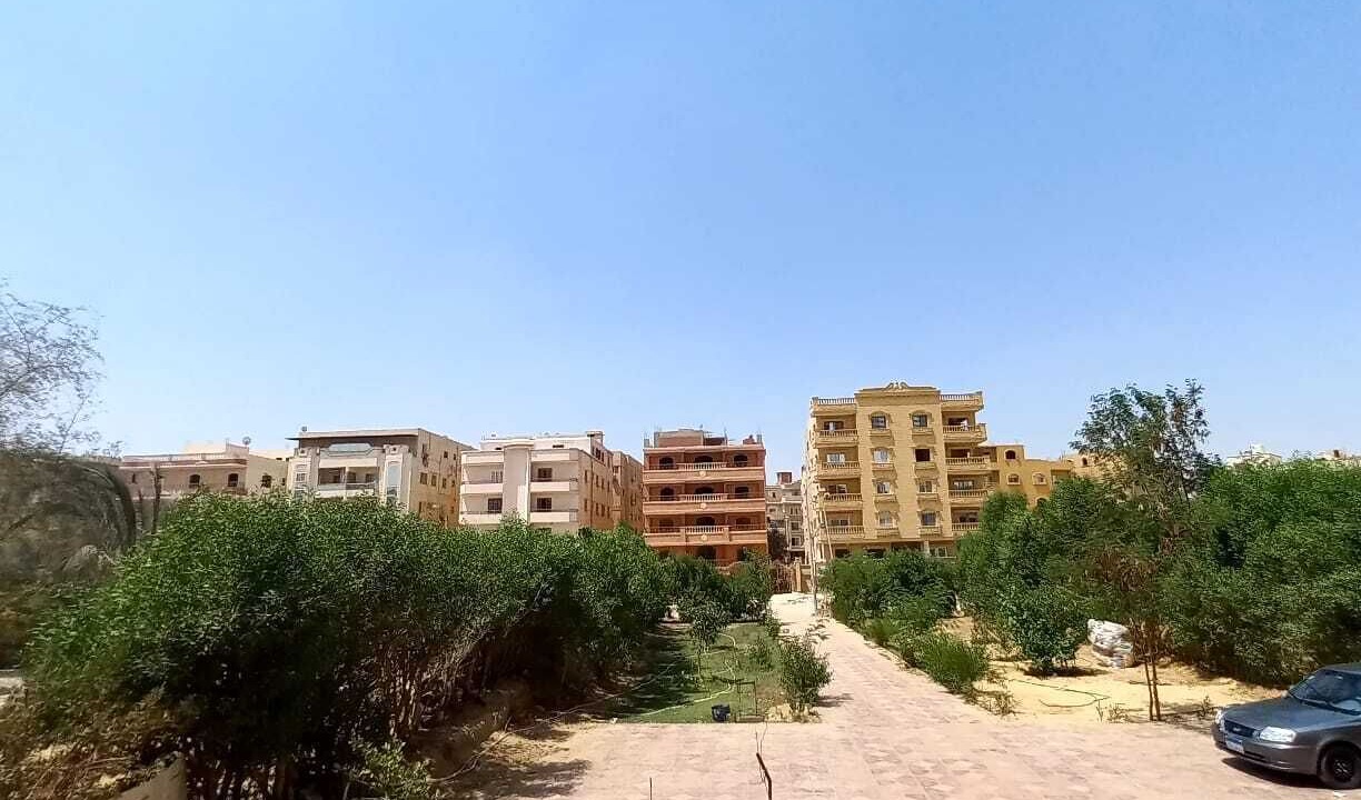 Photo of Others in Al-'Umraniyah