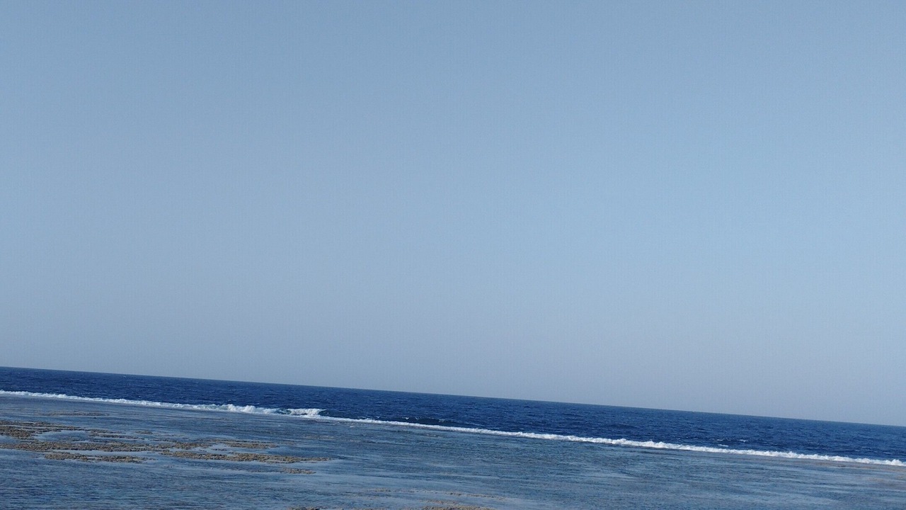 Photo of Others in Port Ghalib