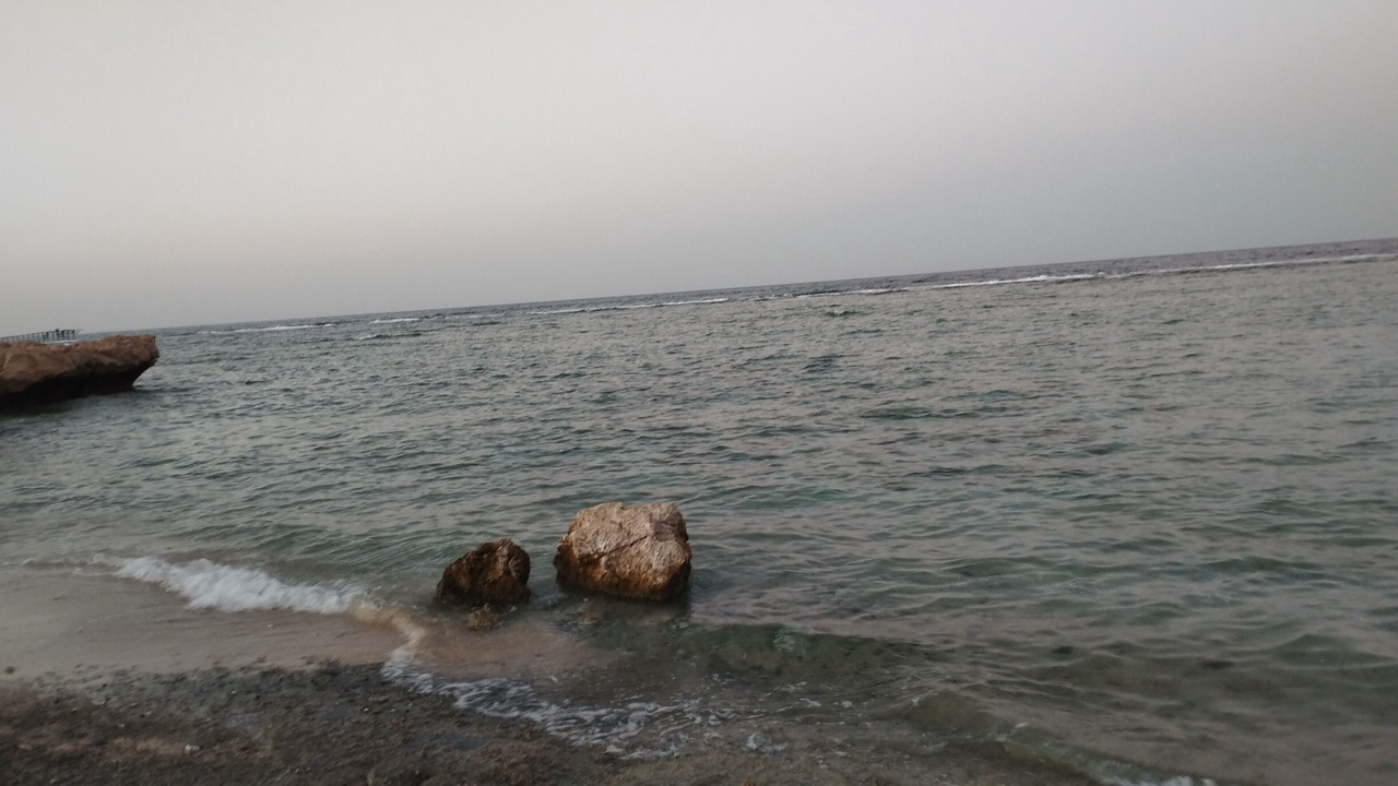 Photo of Others in Port Ghalib