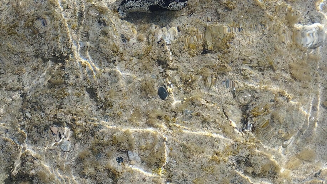 Photo of Others in Port Ghalib