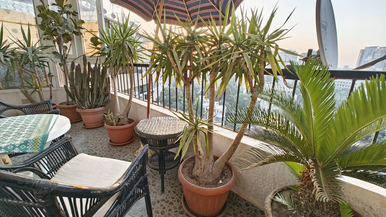 Photo of Outdoor in Al Duqqi