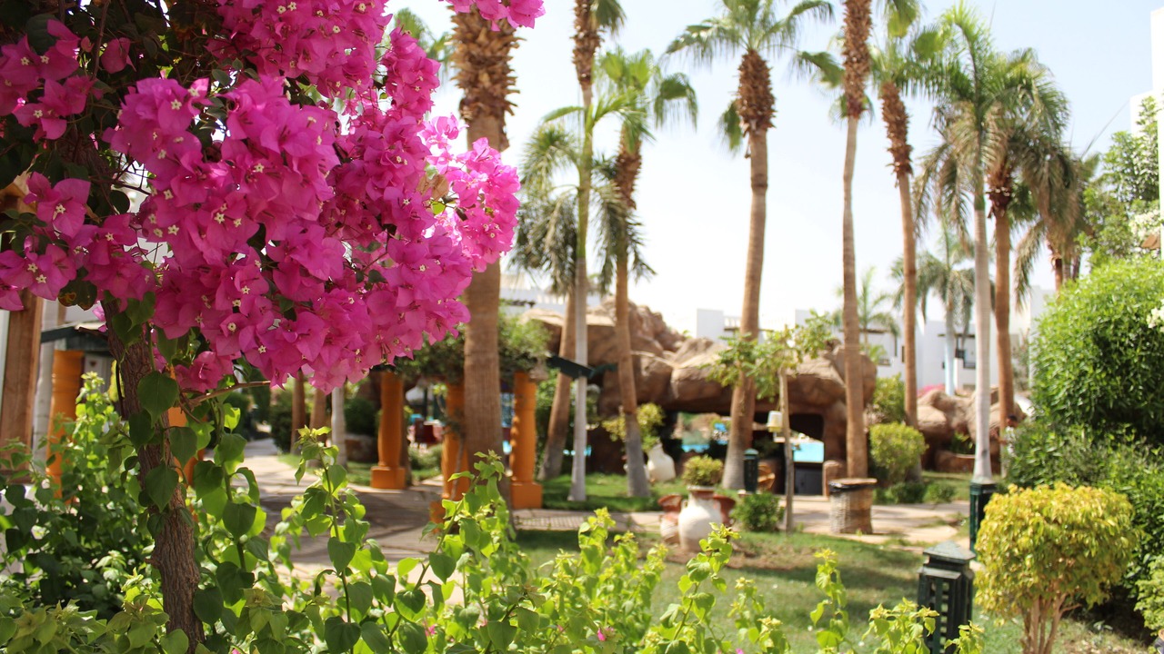 Photo of Outdoor in El Hadaba