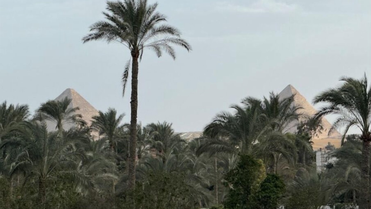 Photo of Outdoor in Pyramids Gardens