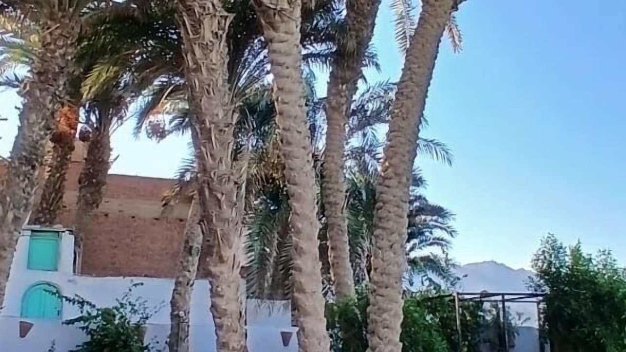 Photo of Outdoor in Dahab