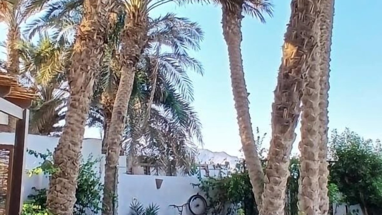 Photo of Outdoor in Dahab
