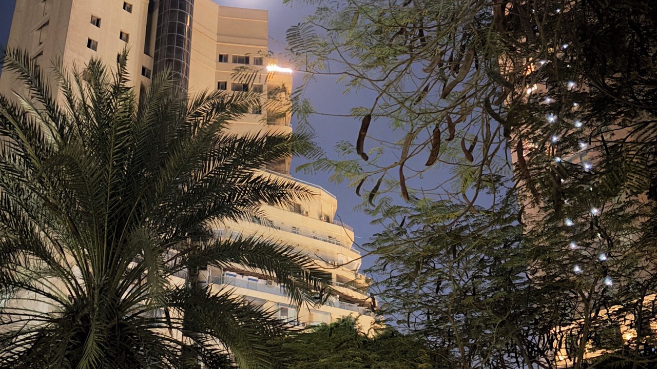 Photo of Outdoor in Qasr an-Nil