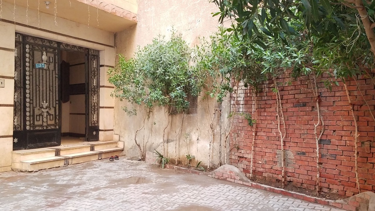 Photo of Outdoor in Giza
