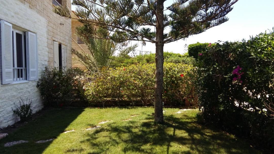 Photo of Others in Marina El Alamein