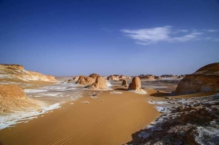 Photo of Others in Sidi Abd El-Rahman