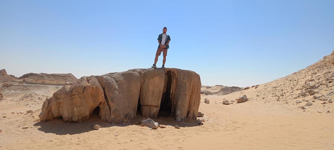 Photo of Human In Picture in Sidi Abd El-Rahman
