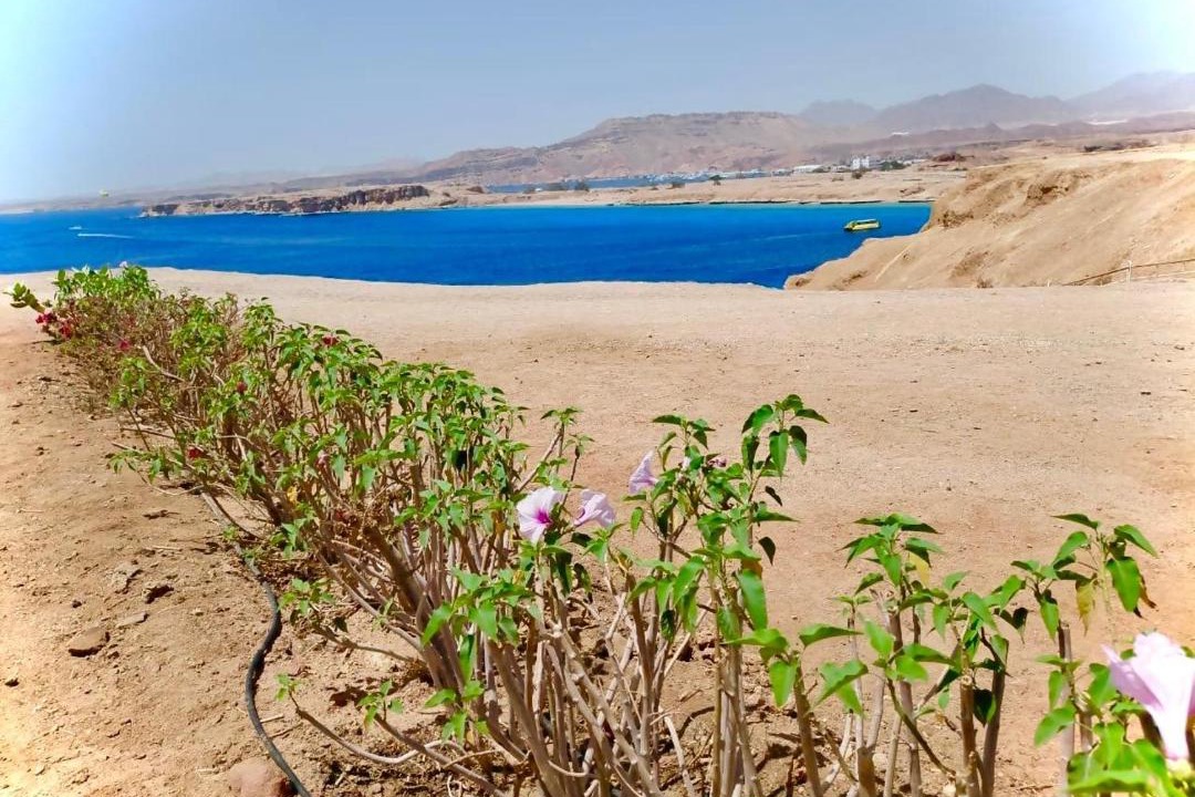 Photo of Others in El Hadaba